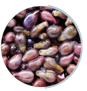 Grape seeds