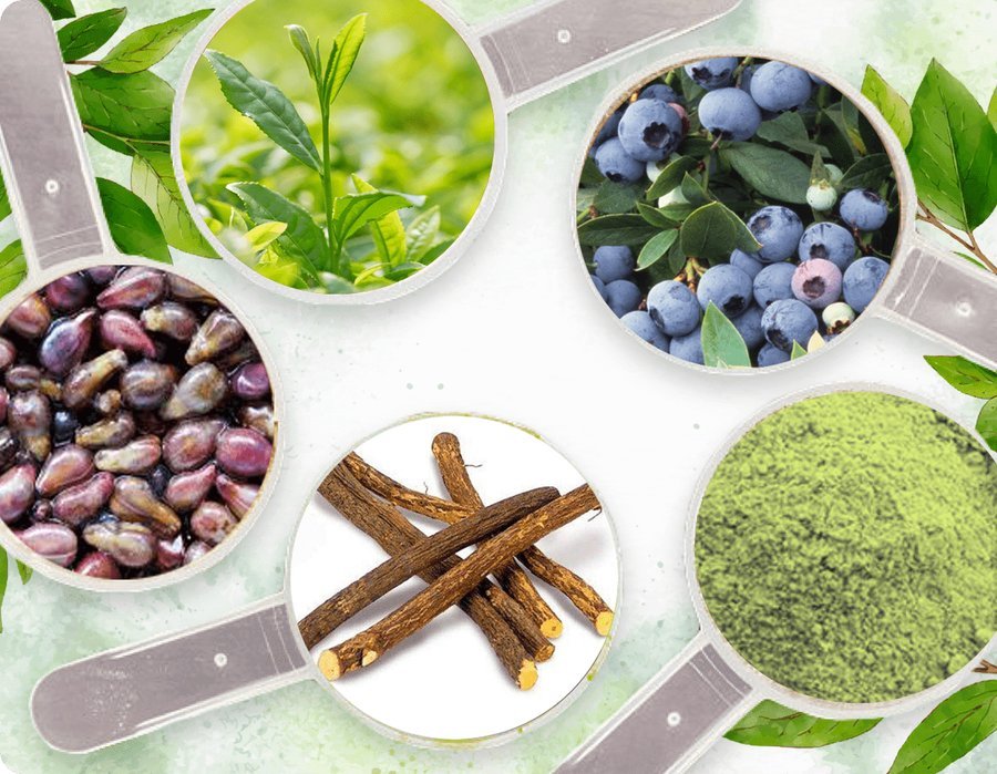 Neuro Serge highlighted botanical ingredients: green tea, bilberry, grape seed, licorice and olive leaf
